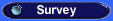 On-Line Survey