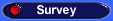 On-Line Survey